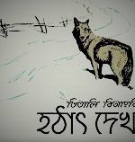 হঠাৎ দেখা (meet suddenly)